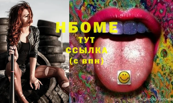 прущие грибы Белокуриха