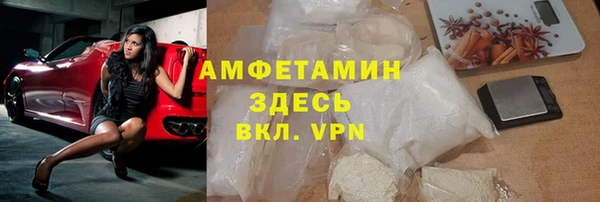 прущие грибы Белокуриха