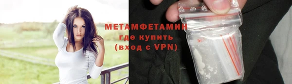прущие грибы Белокуриха