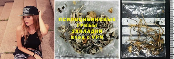 прущие грибы Белокуриха