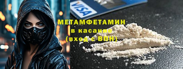 прущие грибы Белокуриха