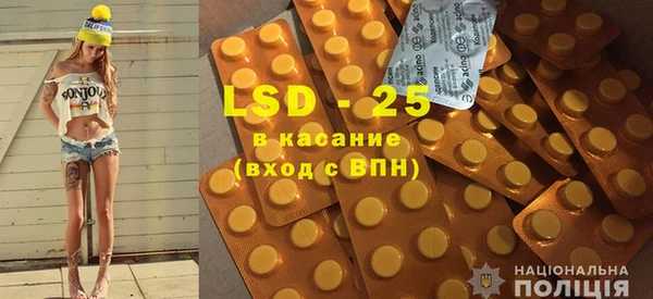 прущие грибы Белокуриха
