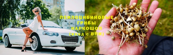 прущие грибы Белокуриха