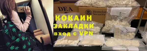 прущие грибы Белокуриха