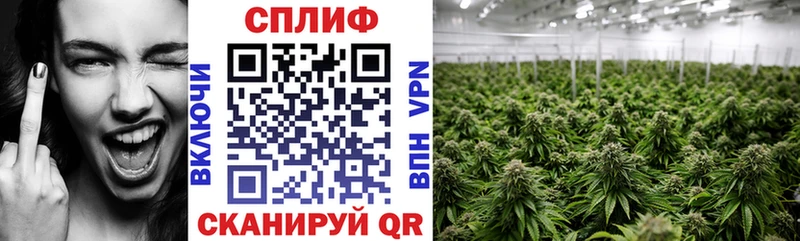 Купить закладки  Кувшиново  Конопля марихуана 